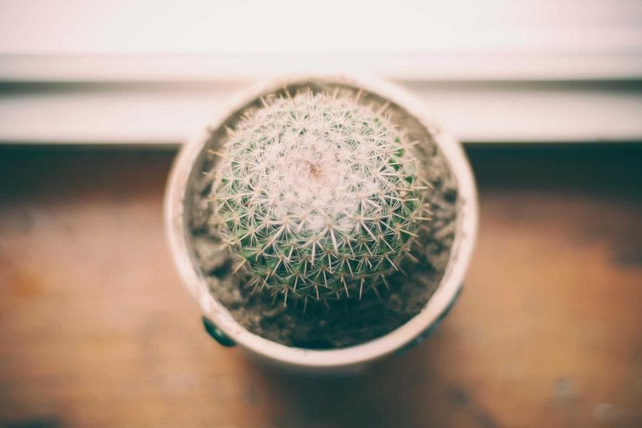 Sobre Hotel Vista Mar (Pro)
